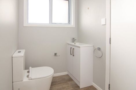 Photo of property in 45 Rata Street, Roslyn, Palmerston North, 4414