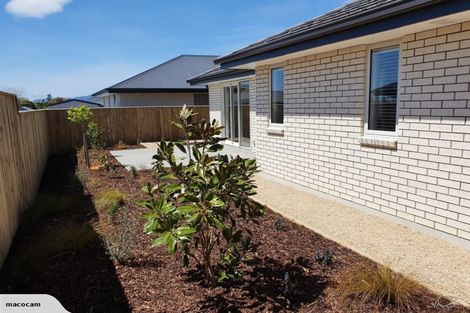 Photo of property in 30 Cupola Crescent, Richmond, 7020