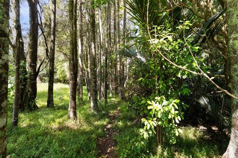 Photo of property in 2447 Port Waikato-waikaretu Road, Waikaretu, Tuakau, 2695