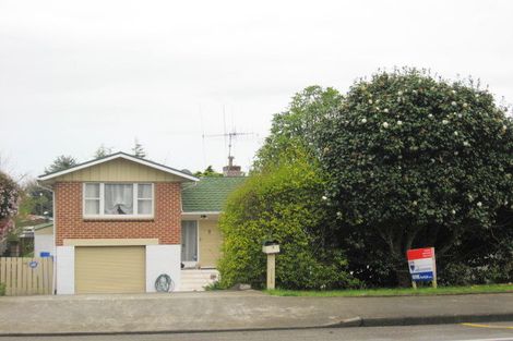 Photo of property in 19 The Avenue, Levin, 5510