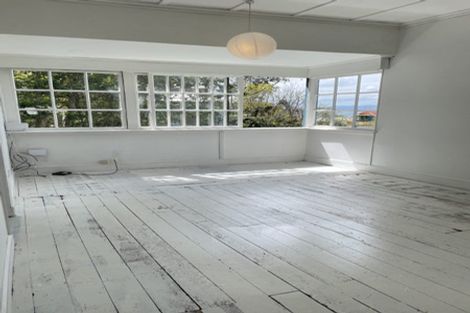 Photo of property in 9 Mortimer Terrace, Aro Valley, Wellington, 6021