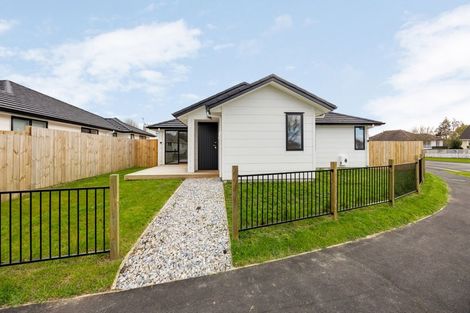 Photo of property in 2/32 Ross Crescent, Fairfield, Hamilton, 3214