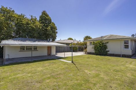 Photo of property in 26 Donegal Street, Belfast, Christchurch, 8051