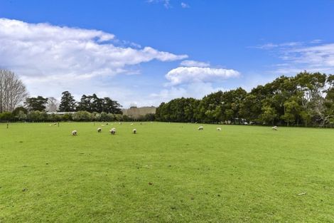 Photo of property in 93 Postman Road, Dairy Flat, Albany, 0794
