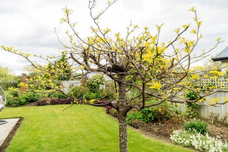 Photo of property in 17 Glenbrook Drive, Mosgiel, 9024