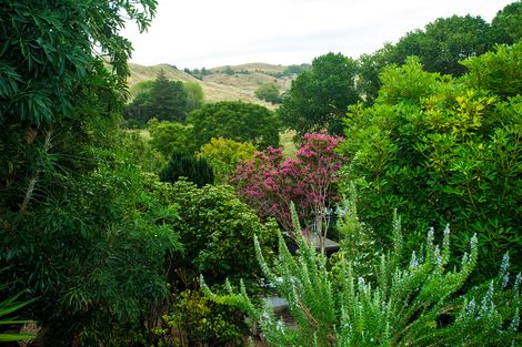 Photo of property in 26 Lysnar Street, Okitu, Gisborne, 4010