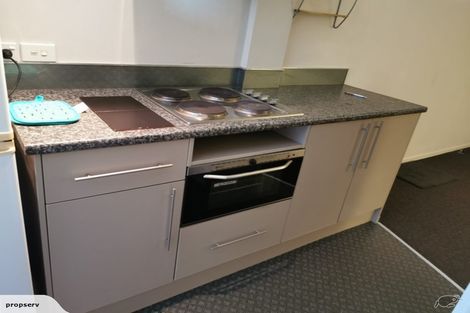 Photo of property in 12/12 Nikau Street, Eden Terrace, Auckland, 1021