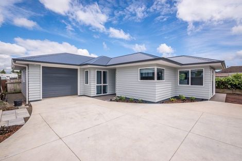 Photo of property in 93a Bartholomew Road, Levin, 5510