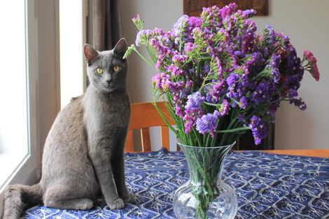 Photo of property in 23 Blue Gum Lane, Kerikeri, 0293