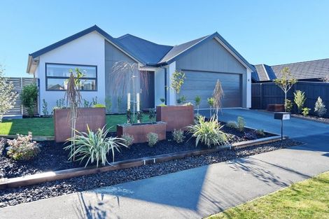 Photo of property in 41 Mills Road, Marshland, Christchurch, 8051