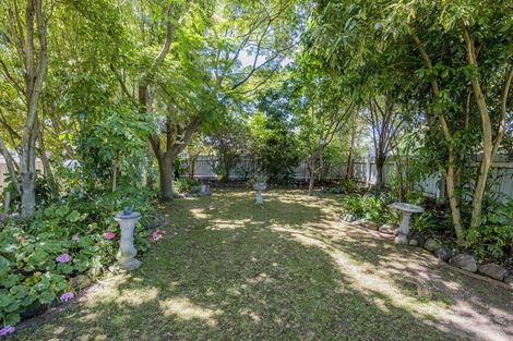 Photo of property in 19 Douglas Street, Levin, 5510