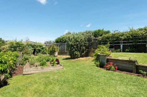 Photo of property in 6 Argyll Road, Greerton, Tauranga, 3112