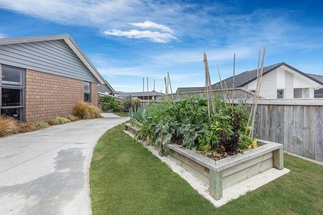 Photo of property in 15 Hoylake Place, Morrinsville, 3300
