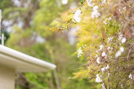 Photo of property in 10b Rimu Street, Waikanae, 5036