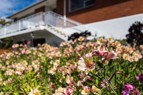 Photo of property in 51 Centennial Avenue, Helensburgh, Dunedin, 9010