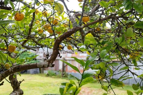 Photo of property in 14 Marlborough Street, Greymouth, 7805