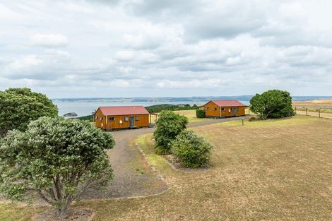 Photo of property in 986 Tinopai Road, Tinopai, Matakohe, 0593