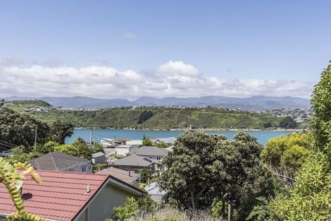 Photo of property in 3 Waipapa Road, Hataitai, Wellington, 6021