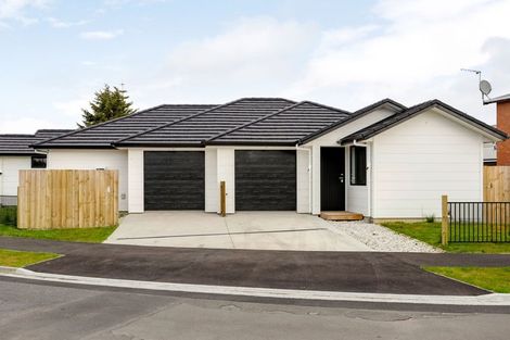 Photo of property in 1/32 Ross Crescent, Fairfield, Hamilton, 3214