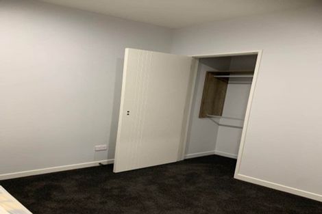 Photo of property in 11 Alluvial Street, Flat Bush, Auckland, 2019