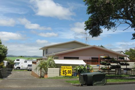 Photo of property in 160 Wellington Street, Pukekohe, 2120