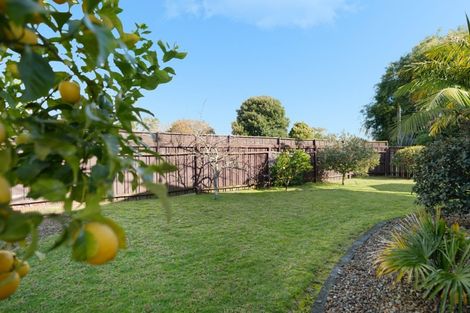 Photo of property in 117a Ranch Road, Mount Maunganui, 3116