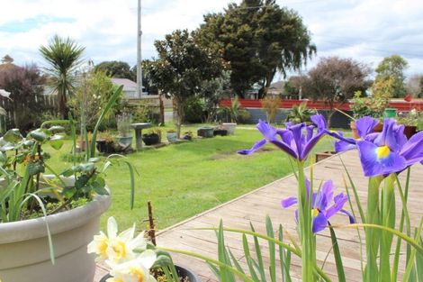 Photo of property in 47 Bignell Street, Gonville, Whanganui, 4501
