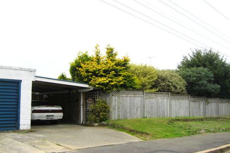 Photo of property in 24 Thoreau Street, Concord, Dunedin, 9018