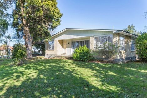 Photo of property in 61 Guy Street, Dannevirke, 4930