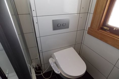 Photo of property in 10 Palmer Street, Aro Valley, Wellington, 6011