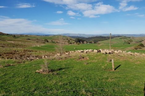 Photo of property in 169 Halliday Road, Waingaro, Ngaruawahia, 3793