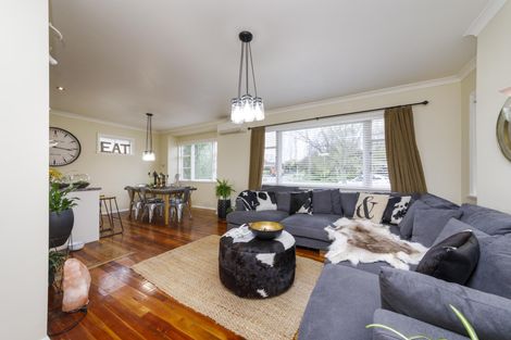 Photo of property in 643 Ferguson Street, Terrace End, Palmerston North, 4410