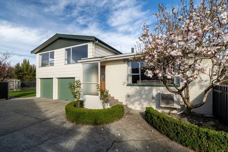 Photo of property in 191 Bainfield Road, Waikiwi, Invercargill, 9810