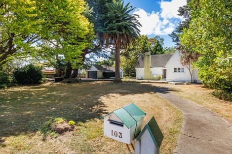 Photo of property in 103 Derby Street, Feilding, 4702