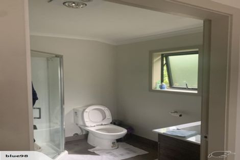 Photo of property in 35 Thomson Avenue, Dinsdale, Hamilton, 3204