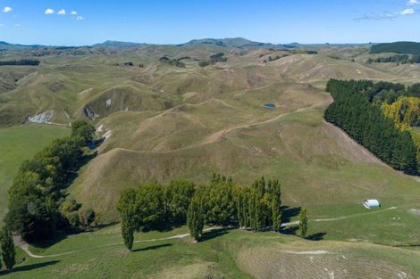 Photo of property in 300 Pattison Road, Akina, Hastings, 4122