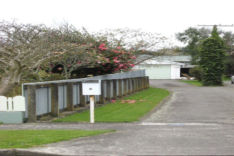 Photo of property in 6 Hobson Street, Levin, 5510