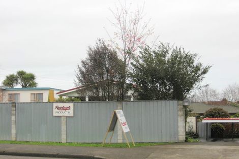 Photo of property in 17 The Avenue, Levin, 5510