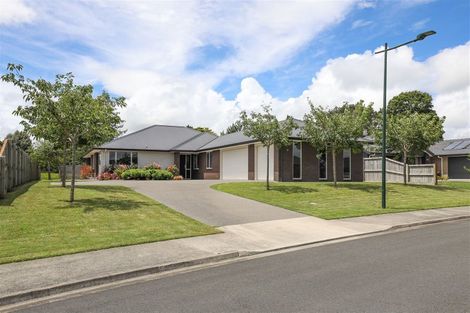 Photo of property in 29 Awanui Avenue, Te Kauwhata, 3710