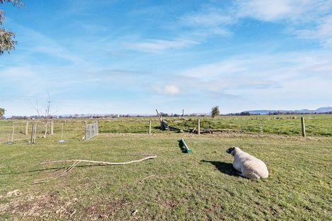 Photo of property in 15 Stewart Road, Orari, Temuka, 7986