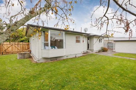 Photo of property in 8 Firth Place, Awapuni, Palmerston North, 4412