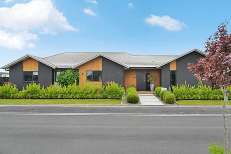 Photo of property in 15 Kereruu Street, Cambridge, 3434