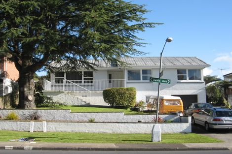 Photo of property in 13 David Avenue, Hillpark, Auckland, 2102