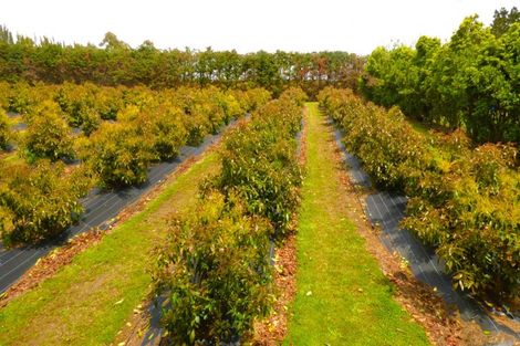 Photo of property in 42c Tyree Road, Waipapa, Kerikeri, 0295