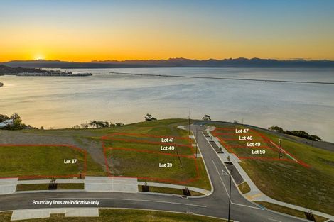 Photo of property in 6 Bay View Road, Atawhai, Nelson, 7010