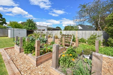 Photo of property in 33 Beaumaris Street, Outram, 9019