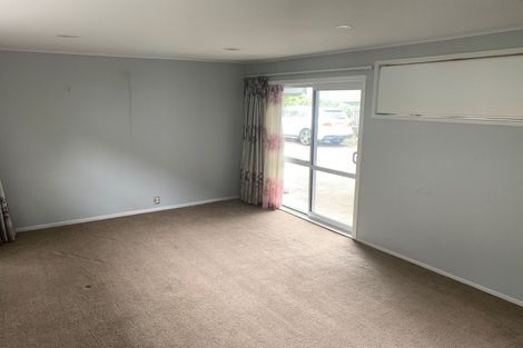 Photo of property in 60 Webster Avenue, Mount Roskill, Auckland, 1041