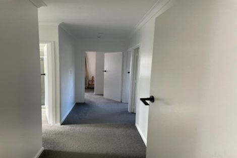 Photo of property in 11 Clifton Terrace, Brookfield, Tauranga, 3110