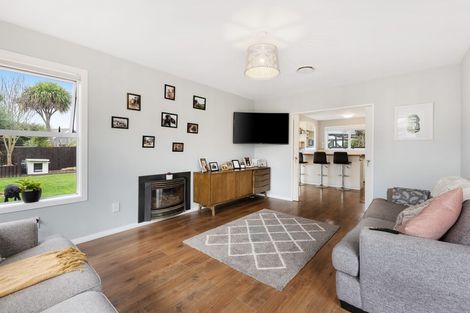 Photo of property in 103 Warren Crescent, Hillmorton, Christchurch, 8025