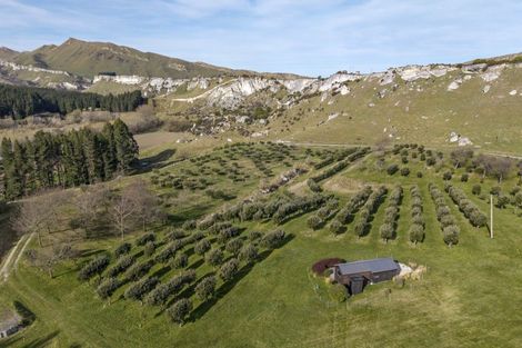 Photo of property in 101 Laidmore Road, Broomfield, 7482